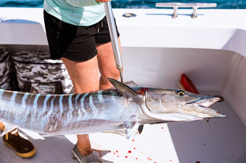 Load image into Gallery viewer, Reel Girl Knit Shorts